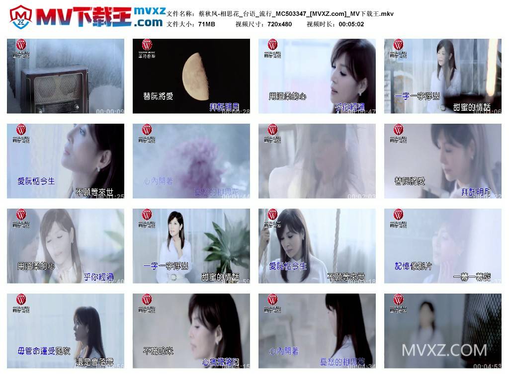 蔡秋凤-相思花_台语_流行_MC503347